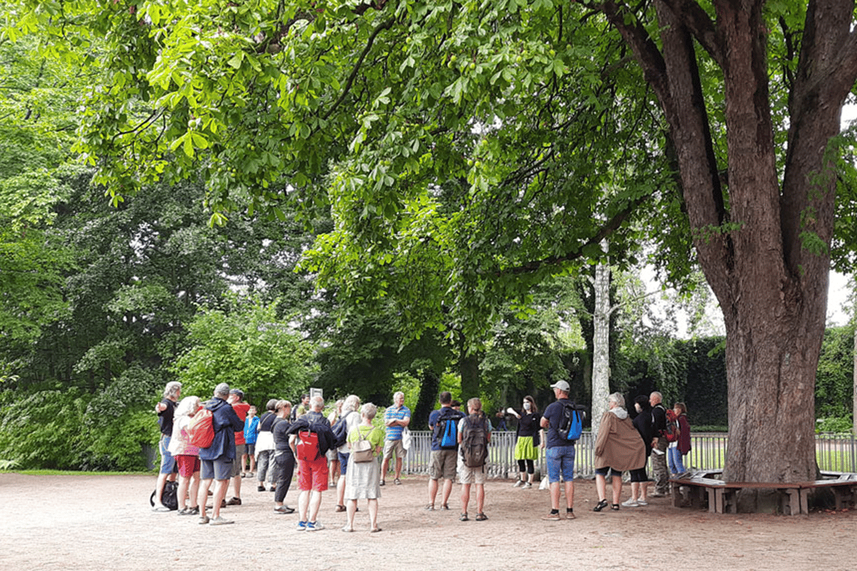 Eine Gruppeneinführung im Museumsgarten unter der alten Kastanie.