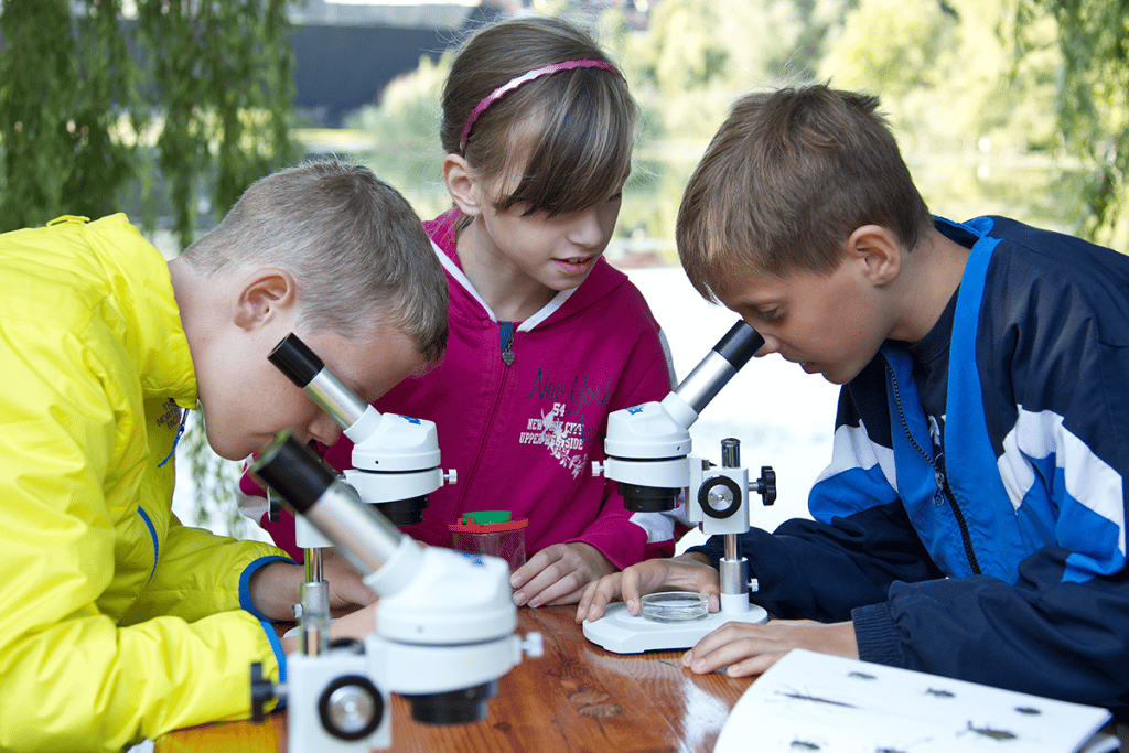 Schulkinder betrachten Proben durch das Mikroskop.