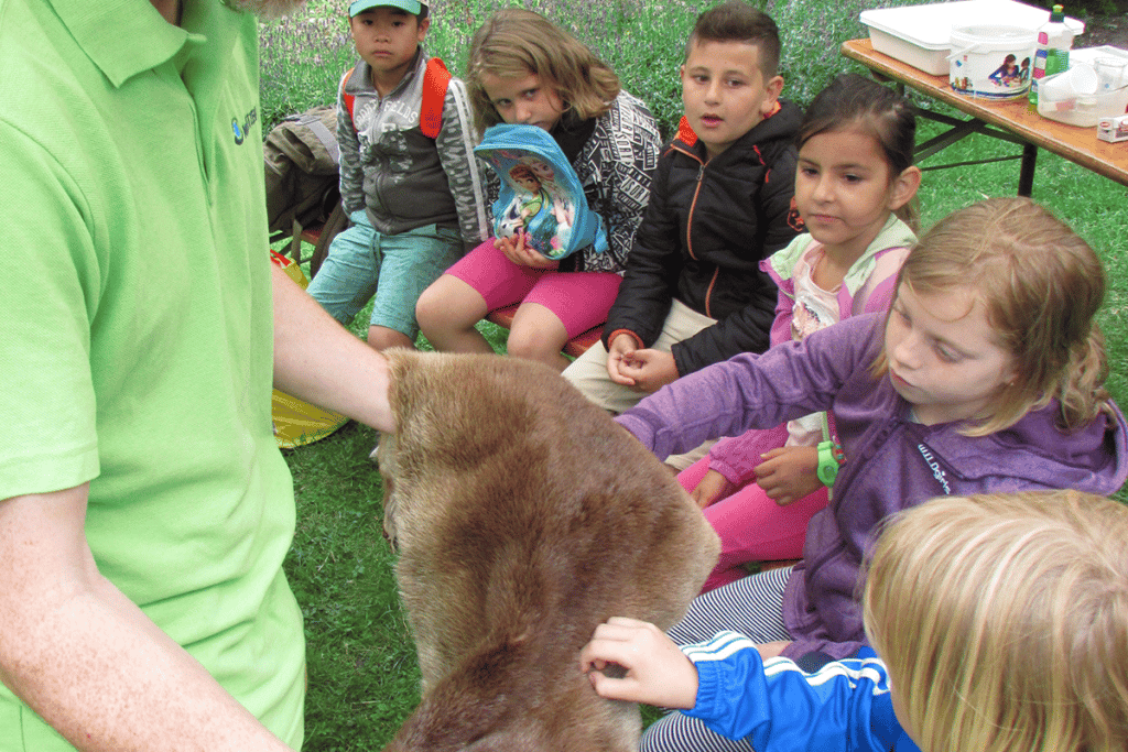 Kinder ertasten das Fell eines Otters.