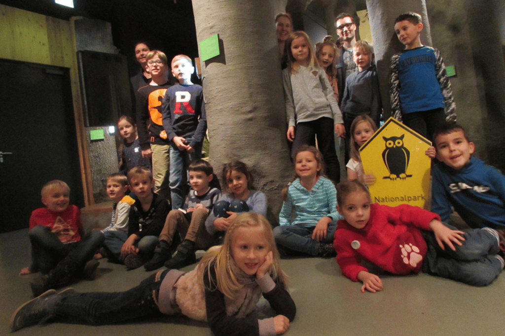 Die Gruppe der Waldohreulen in unserer Ausstellung des Buchenwaldes.