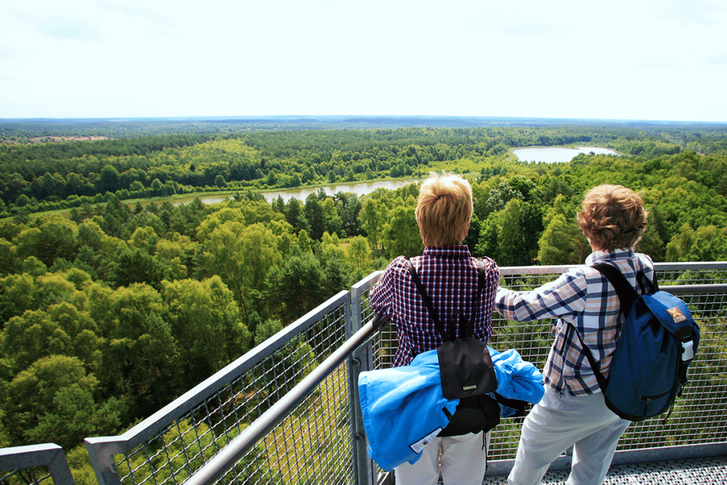 Einmaliger Blick über den Müritz-Nationalpark vom Käflingsbergturm.