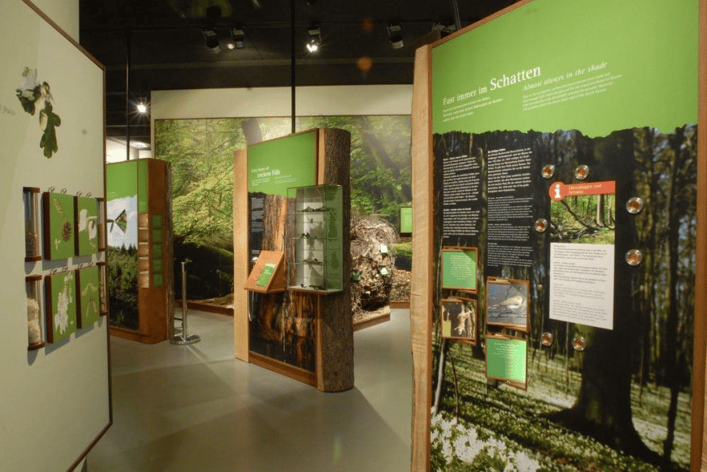 Blick in einen Teil der Naturkundeausstellung des Müritzeums.