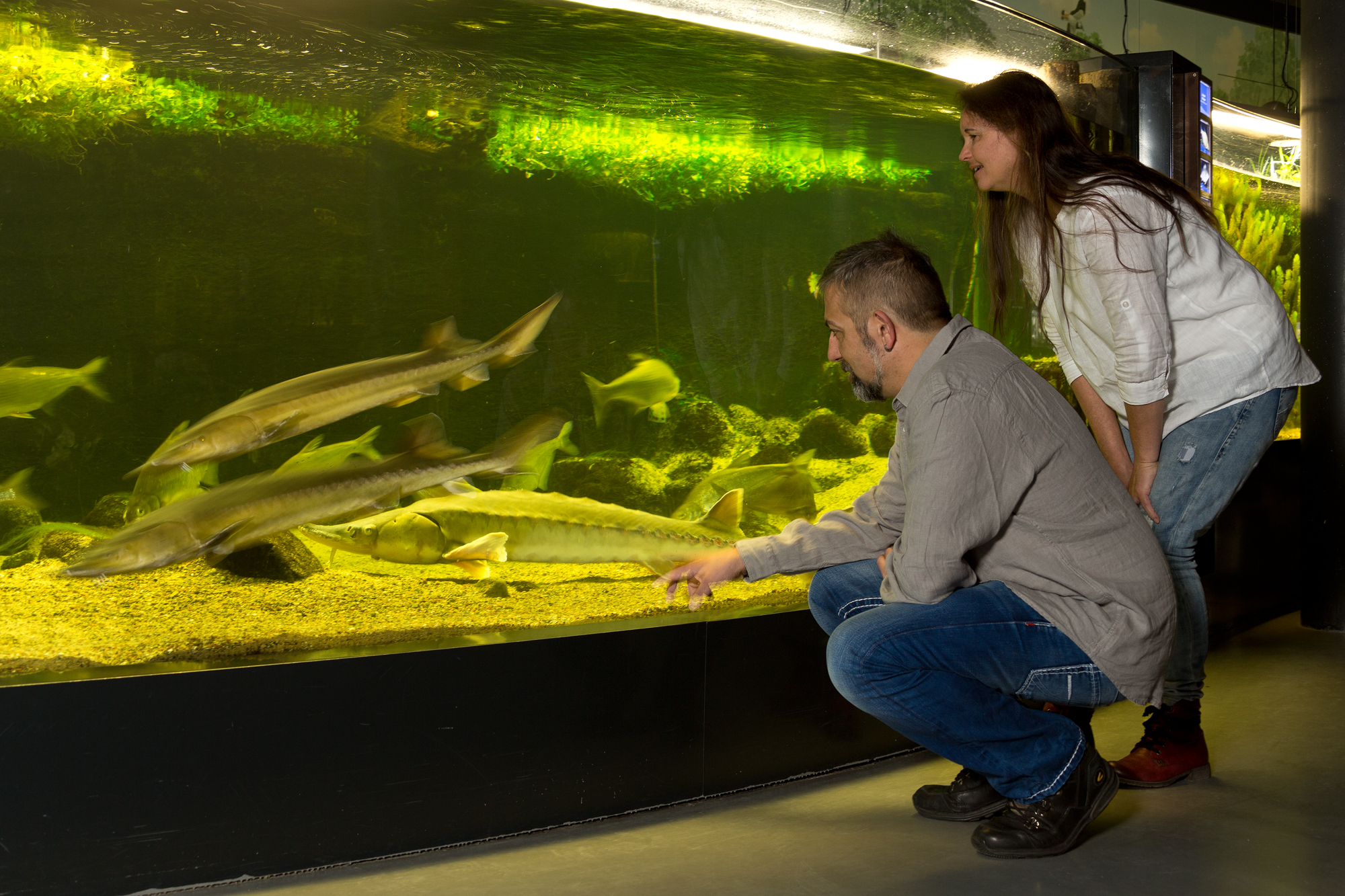 Ein Mann und eine Frau stehen am Flusslauf der Aquarienlandschaft und bestaunen die verschiedenen Fischarten.