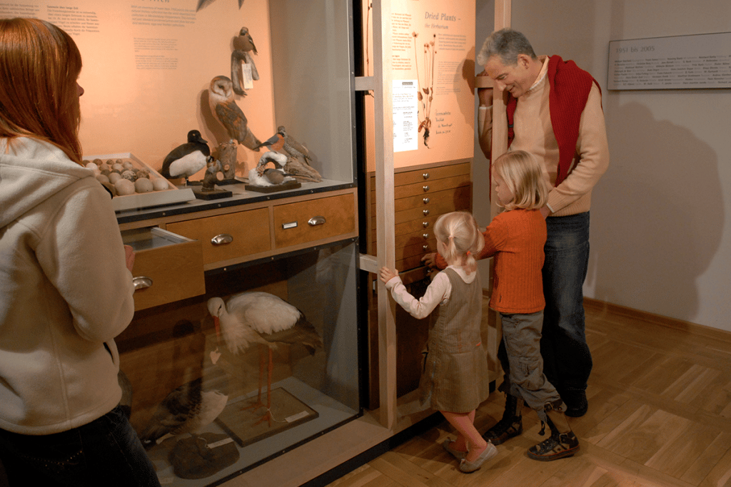 Eine Familie entdeckt die verschiedenen Schubladen und Exponate in der Dauerausstellung des Müritzeums.