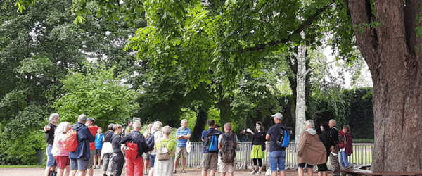 Eine Gruppe steht unter der großen Kastanie im Museumsgarten und erhält eine Einführung von einer Müritzeums-Mitarbeiterin.