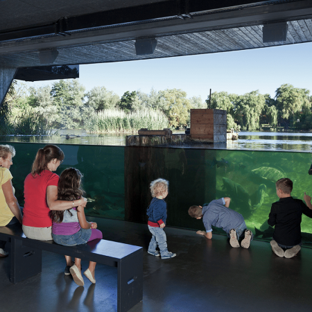 Die Besucherinnen und Besucher entdecken die Becken und Bewohner des Wassertheaters im Müritzeum.